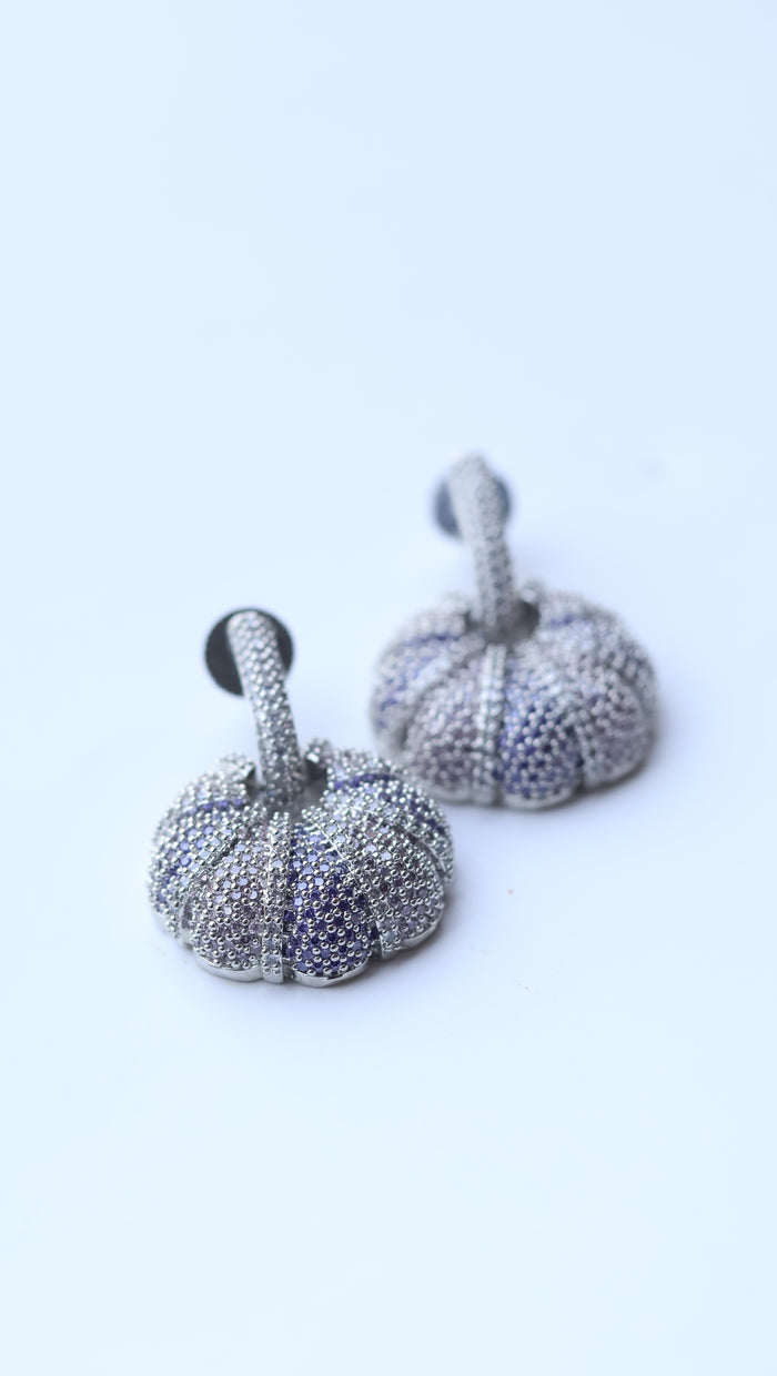 Bebbhin Invisible Stone Setting AD Earrings