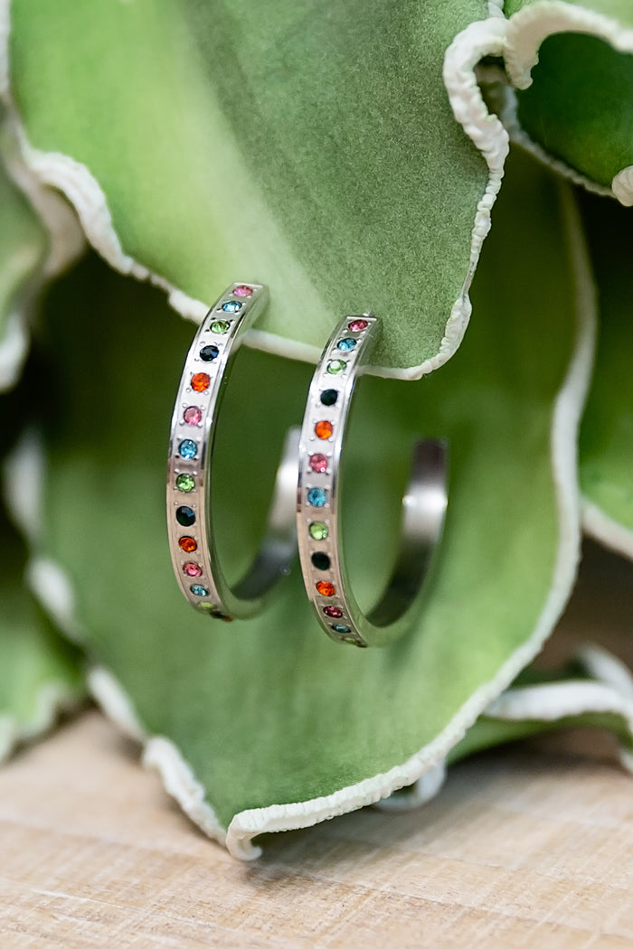 Darcy Hoop Earrings