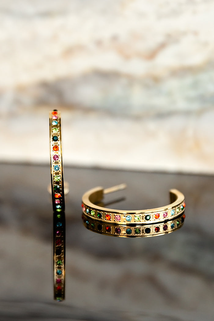 Darcy Hoop Earrings