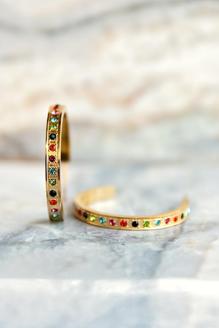 Darcy Hoop Earrings