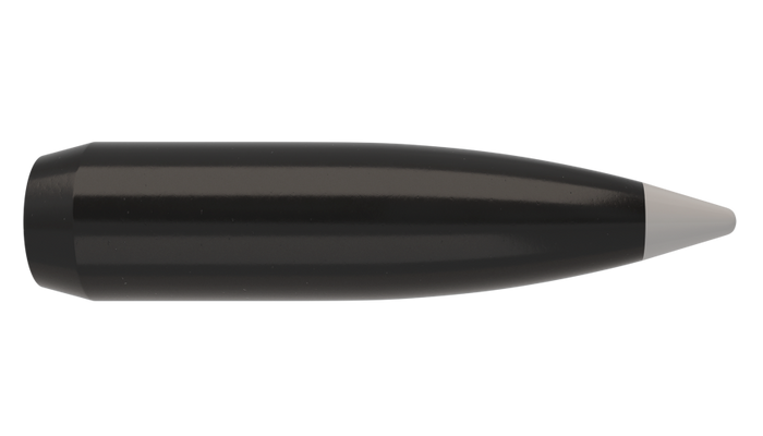 Nosler .308 Diameter 180 Grain Polymer Tip Ballistic Silvertip 50 Count Bullets