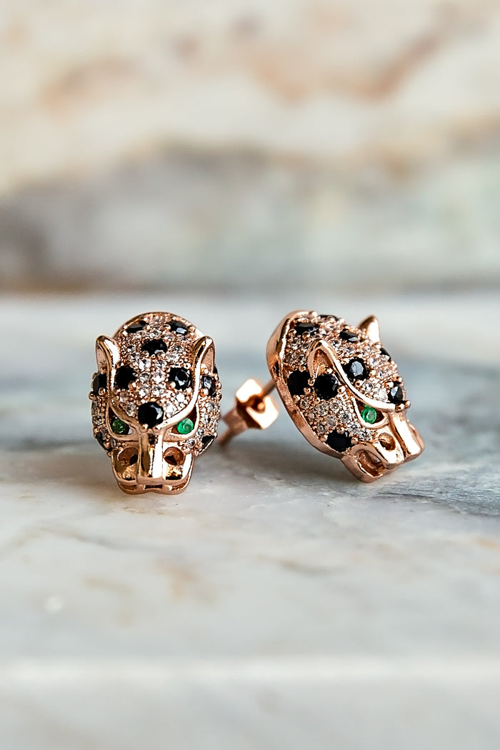 Pardos Studs