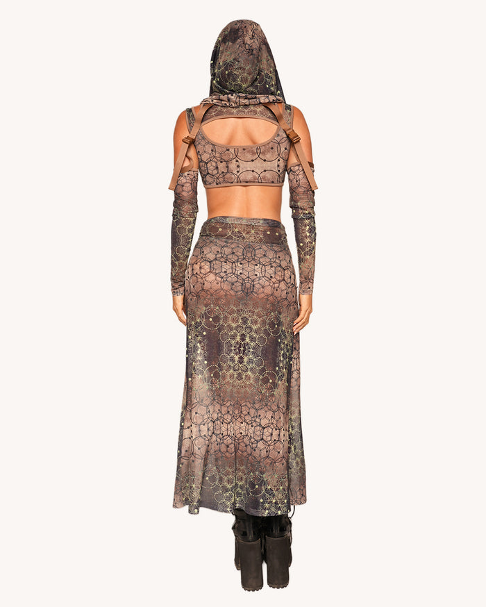 Raptor's Wake Dress